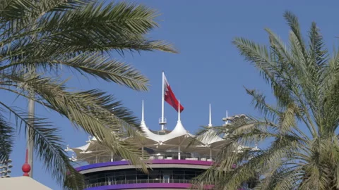 View Through Palm Trees Of Bahraini Flag On Sakhir Tower. Bahrain Stock Footage 168716144