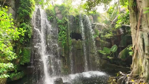 View through palm trees green leaves jungle waterfall fantasy lagoon clean water Stock Footage 346297116