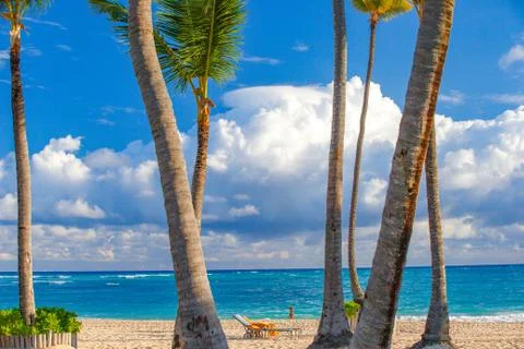 View through palm trees to a sandy beach and ocean Stock Photos