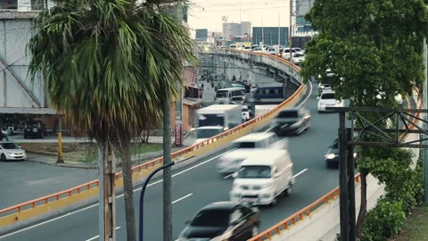 View through the palm trees time lapse of many cars and trucks driving fast Stock Footage 245373069