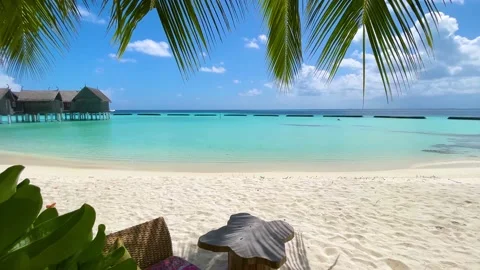 View through palm trees to a tropical paradise beach in the Maldives 스톡 동영상 155787370