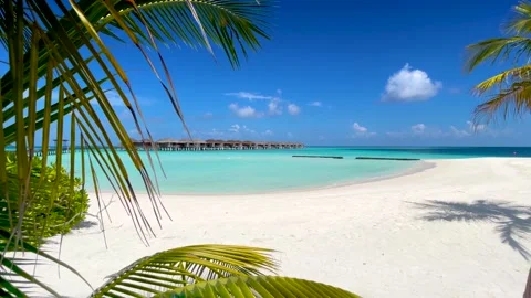 View through palm trees to a tropical paradise beach in the Maldives Video stock 155788336