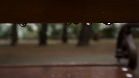 View through a park bench Stock Footage 116593189