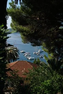A view through the pine branches at the small bay with small boats Stock-Fotos