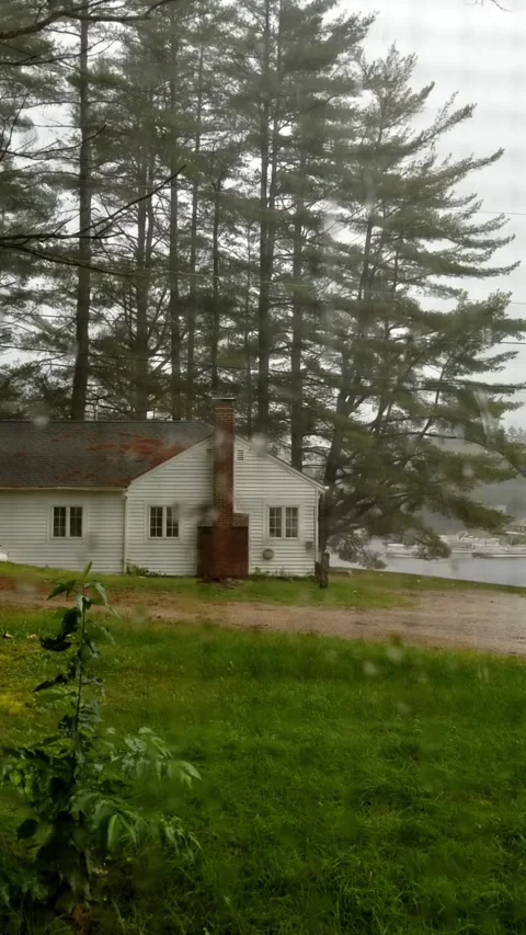 View through a rainy window shows a New Hampshire lakeside cottage and pine tree Stock Footage 321502057