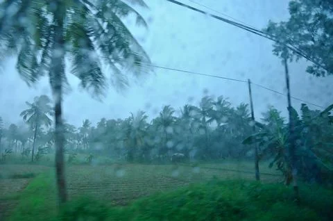 View Through A Rainy Window a tropical forest Stock Photos
