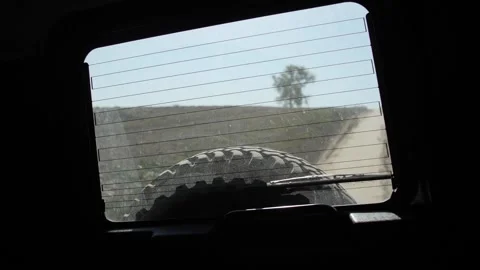 View through the rear window of an SUV car. Video stock 141170106