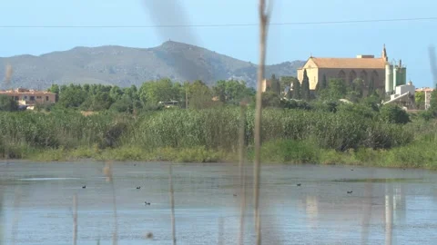 View Through Reeds to Lagoon and Historic Chapel, Maristany, Mallorca Stock Footage 340589584