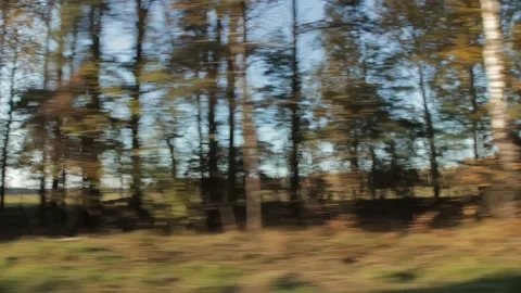 View through side car auto window in motion on road along autumn forest in fall Stock Footage 205446865