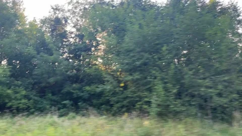 View through side window of auto in motion on road. Stock Footage 211318687