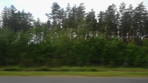 View through side window of car auto in motion on road along the forest in Видео 141171692