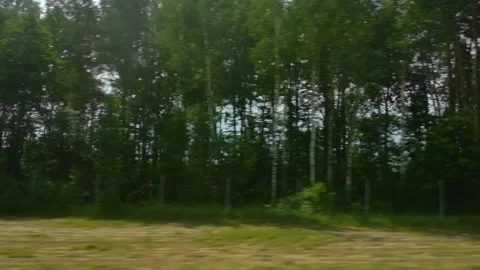 View through the side window of car in motion on road along the field and forest Stock-Footage 141244095