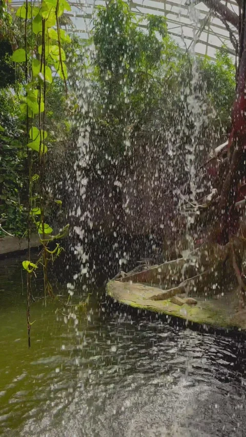 View through small waterfall in the rainforest Stock Footage 196027979