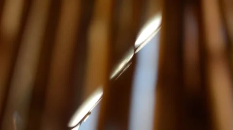 View through sticks pattern, nature detail focus Stock Footage 48424500