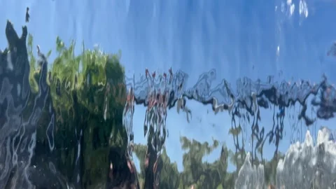 View through the stream of water Stock Footage 252231876