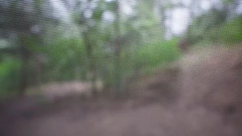 View Through Tent Mosquito Net Screen in Green Forest Camping Video stock 341990617