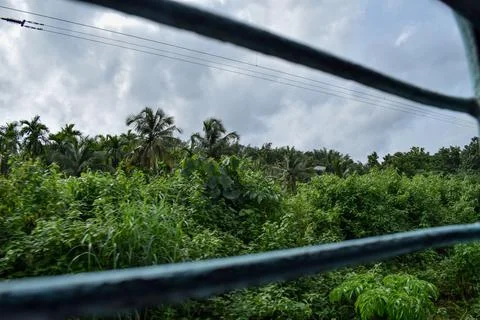 View through train window. Stock Photos