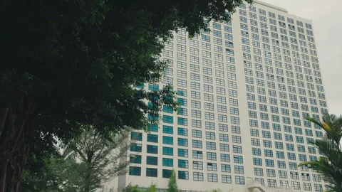 View Through a Tree of a Beautiful Office in a Business District. Beautiful Video stock 275070373