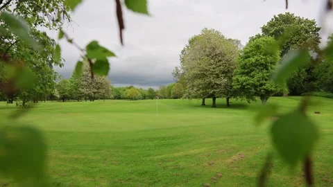 View Through Tree Branches On Green Golf Course Stock Footage 283919698
