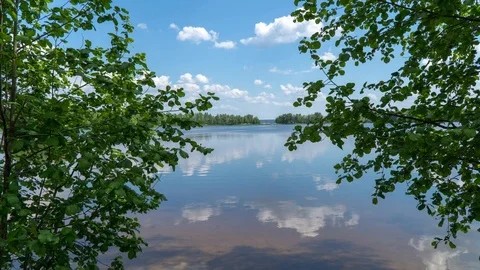 View through the tree branches to the river and clouds Stock Footage 109164961