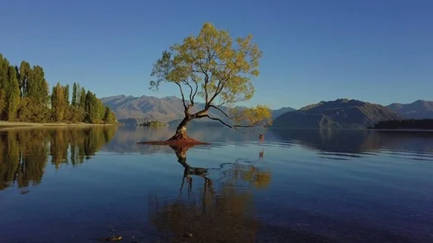 View through tree on Lake Wanaka Stockbeeldmateriaal 89723680