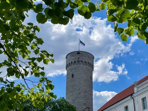 View through tree leaves at Tall Hermann tower with Estonian flag Stock Photos