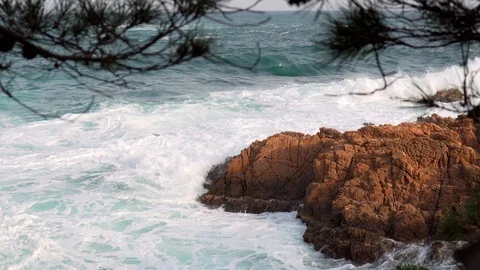 View through the trees to the azure blue sea with waves Stock Footage 114246631