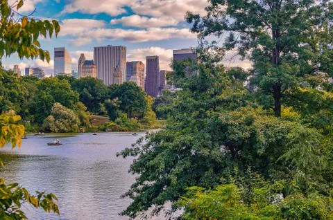 View through trees at the Central park of New York with skyscprapers in Stock Photos