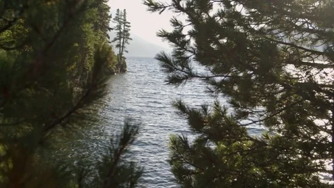 View Through Trees to a Coastline Stock Footage 74351525
