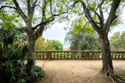 View through trees to garden and river in Belem, Lisbon, Portugal Stock Photos