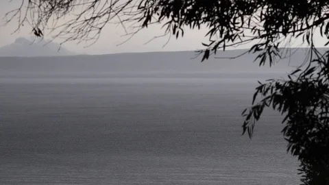 View through trees of heavy rain squall on the sea during storm Stock Footage 123943358