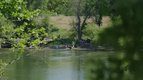 View through trees at a homeless camp on river levee Stock Footage 276149271