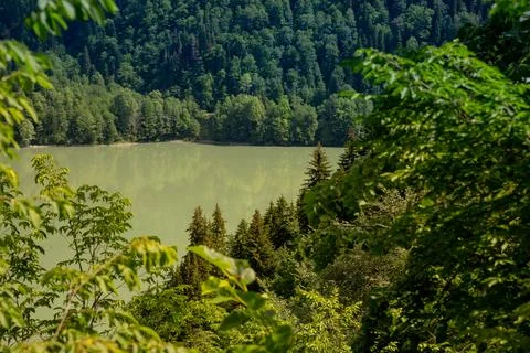 View through the trees on the lake between high and rocky mountains. Beautiful Foto stock
