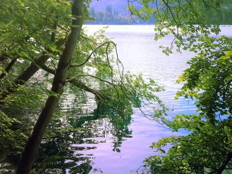 A view through trees at Lake Bled, SLOVENIA - JULY 3, 2014 Stock Photos