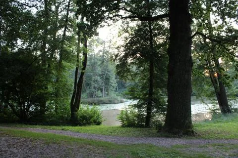 View through the trees to a lake. Stock Photos