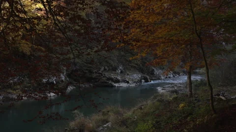 View through the trees to lake  Tara in autumn mountains in Montenegro Stock Footage 238664665