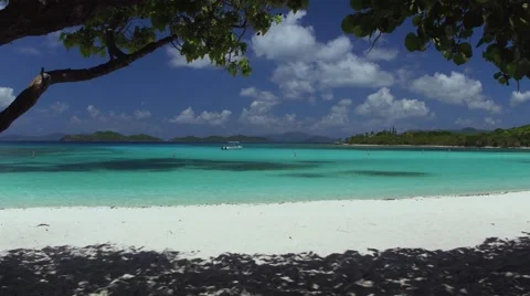 View through the trees of Lindquist Beach, St Thomas 库存影片 67351558
