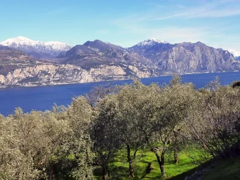 View through the trees to the mountain slopes of the mountains above the se.. Stock Photos