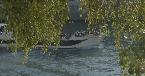 View through trees of river as large tourist boat enters frame Stock Footage 169364802