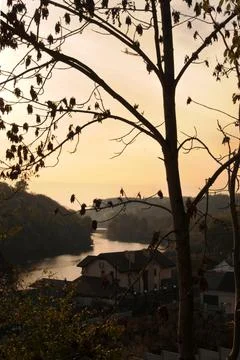 View through the trees to the river at sunset. Stock Photos