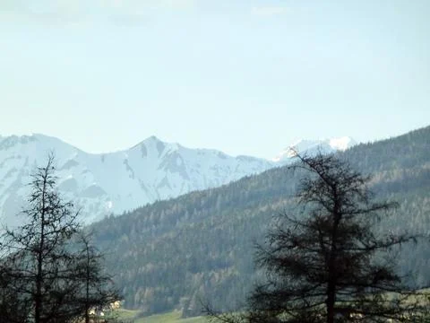 A view through the trees to the slopes of snowy and forest-covered mountains Stock Photos