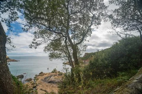 View through trees to St Catherines Castle overlooking the sea at Fowey 스톡 사진