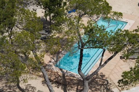 View through the trees to the swimming pool of a hotel on summer day. Vacation Stock Photos