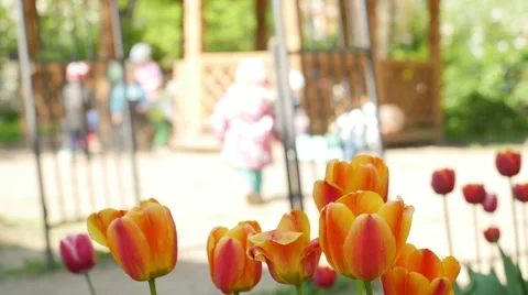 View through the tulips at the children's playground, Full HD shot Stock Footage 63200371
