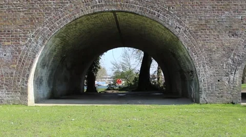 View through tunnel at trees and river Vidéo 42764514