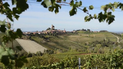 View through the vineyards on a castle Stock Footage 80990306
