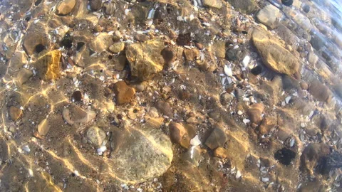 View through water of rocky seabed with shells in sunny weather. Stock Footage 243760025