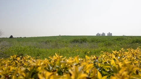 View through a wide green field to the city in the distance 動画素材 103473687