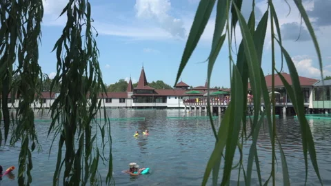 View through willow branches on people bathing in thermal Heviz lake, Hungary - Stock Footage 190369168