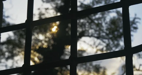 View through the window with bars on silhouette of tree and sky with sun, prison Stock Footage 98314486